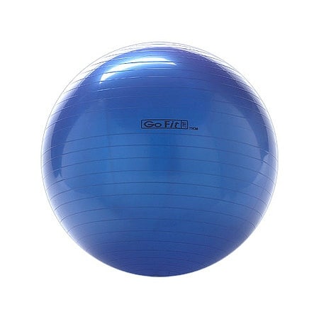 GoFit Exercise Ball - 75cm 1.0 ea