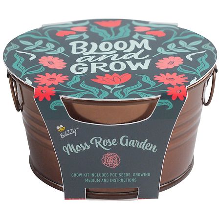 Buzzy Painted Basin Grow Kit - Moss Rose - 1.0 ea